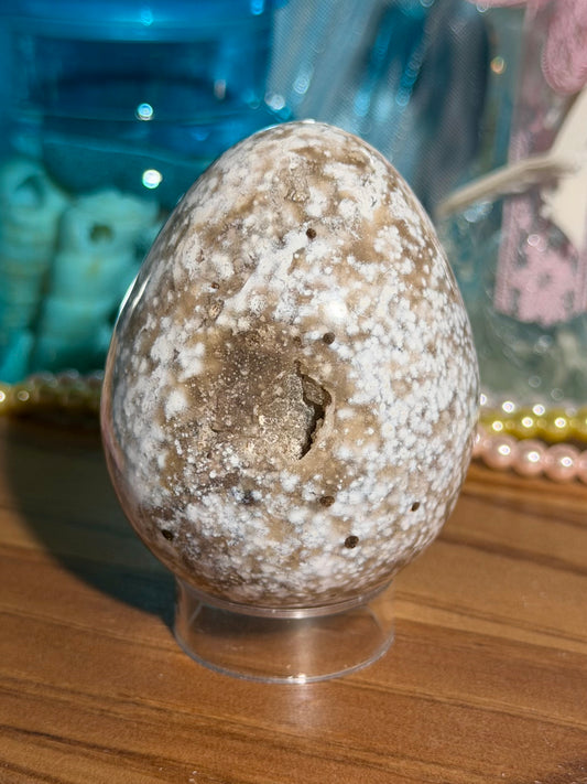 Bubbly white sea jasper eggie