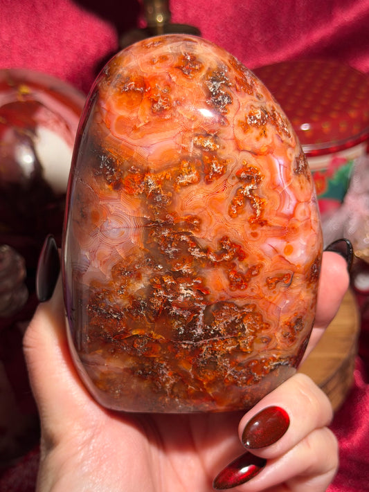Large strawberry red mossy carnelian freeform