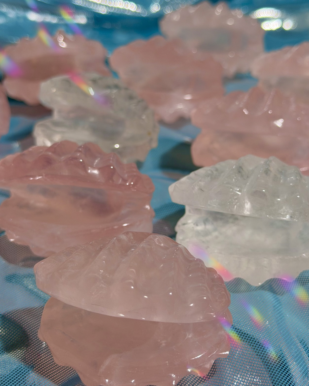 Intuitively Selected: Rose quartz OR Clear quartz small clam shell carvings