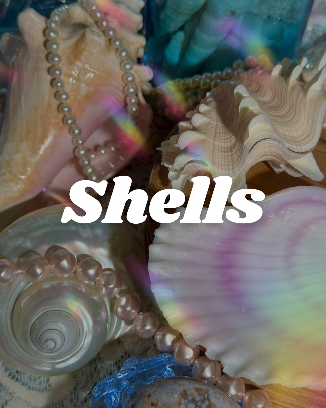 Shells