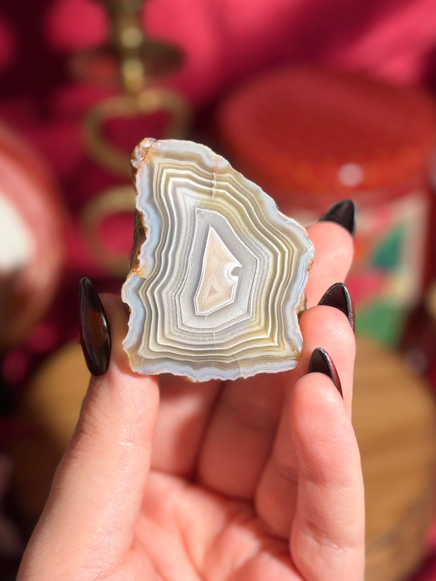 Cool neutral toned Laguna agate from Mexico