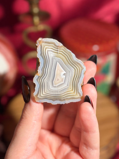 Cool neutral toned Laguna agate from Mexico