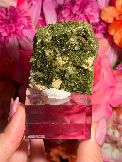 Fairy Quartz Epidote specimen on stand from Hakkari, Turkey