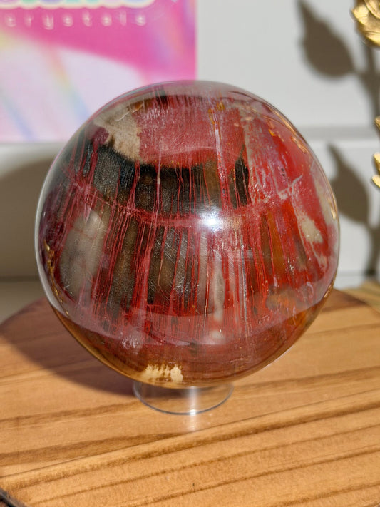 Vampy red and black petrified wood sphere from Madagascar (75E)