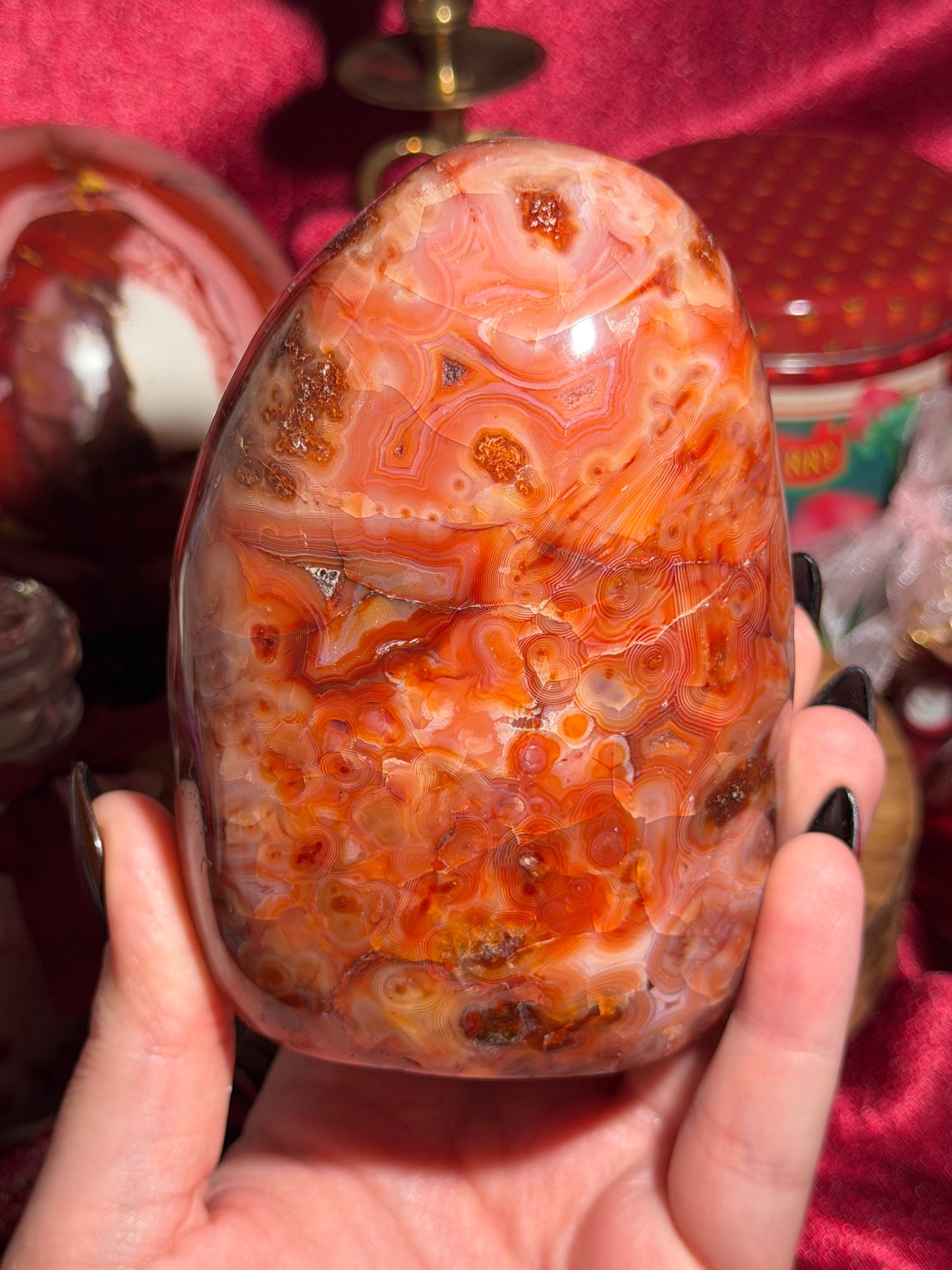 Large strawberry red mossy carnelian freeform