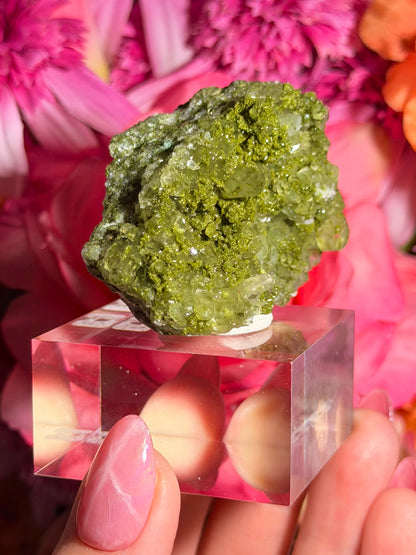 Fairy Quartz Epidote specimen on stand from Hakkari, Turkey