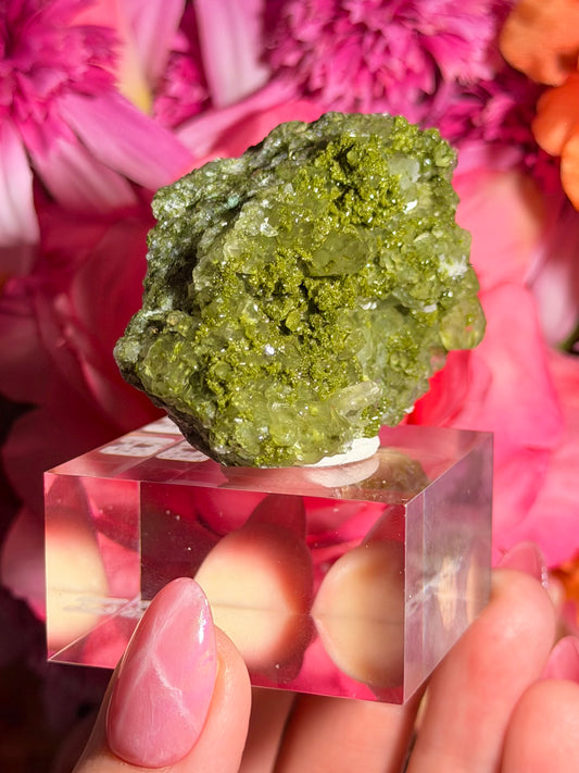 Fairy Quartz Epidote specimen on stand from Hakkari, Turkey
