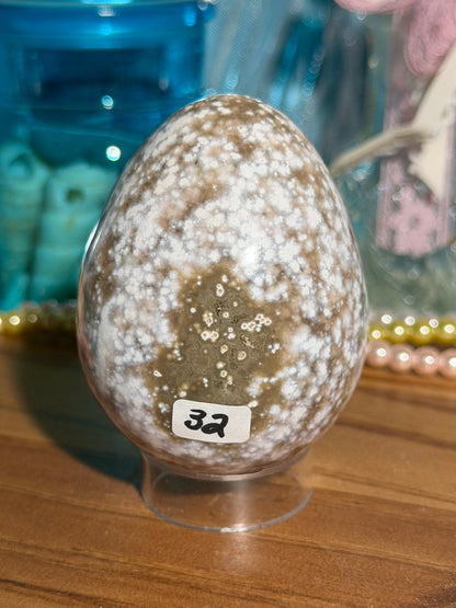 Bubbly white sea jasper eggie