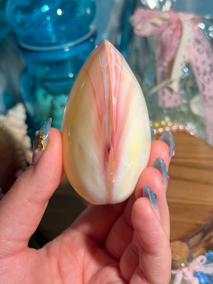 Polished Codaikia Tigrina Shell From The Phillipines - NOT SPLIT