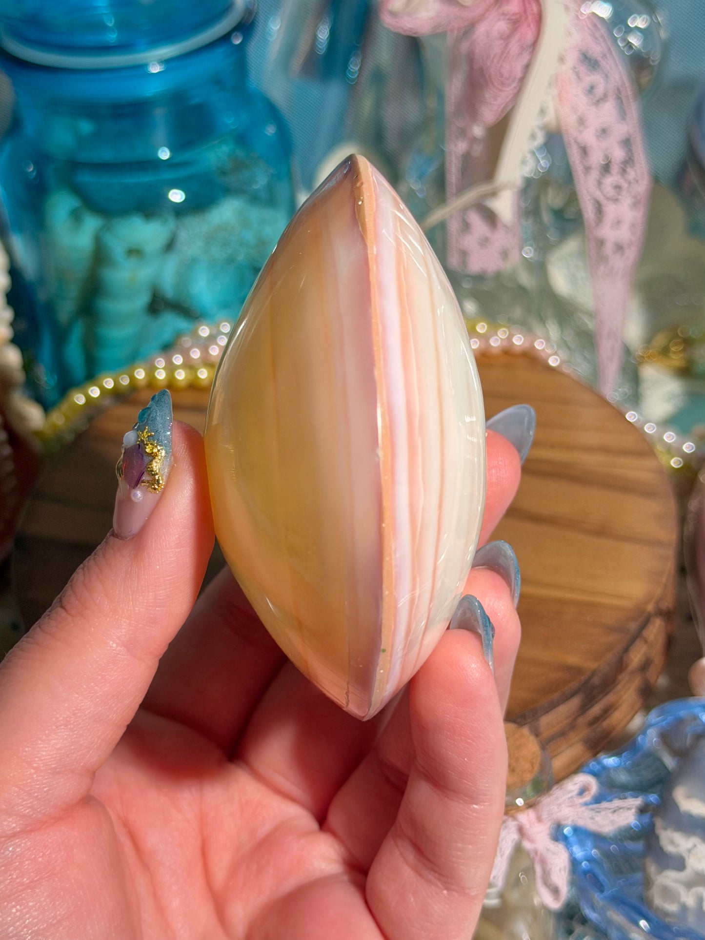 Polished Codaikia Tigrina Shell From The Phillipines - NOT SPLIT