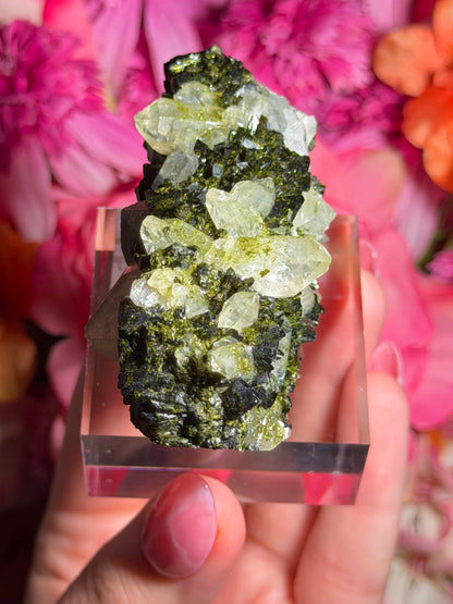 Fairy Quartz Epidote specimen on stand from Hakkari, Turkey